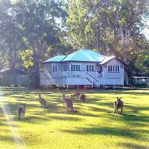 Weyba Noosa & Kangaroos Lodge Peregian Beach